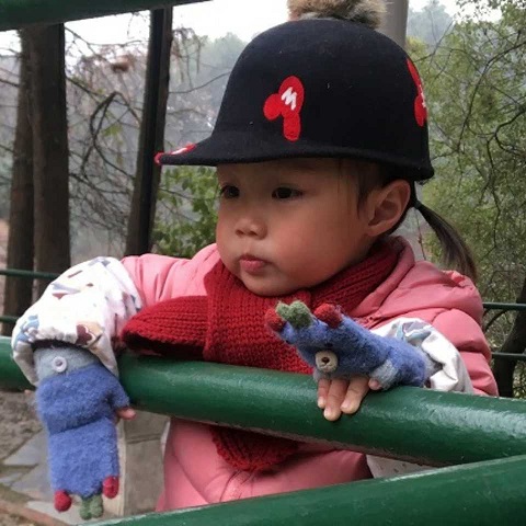 Zongsoft 头像